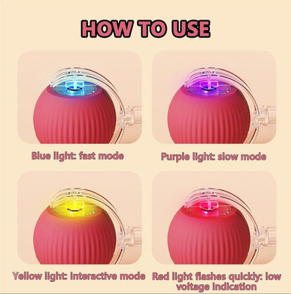 Self Moving Pet Chase Toy