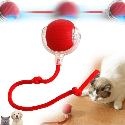 Self Moving Pet Chase Toy